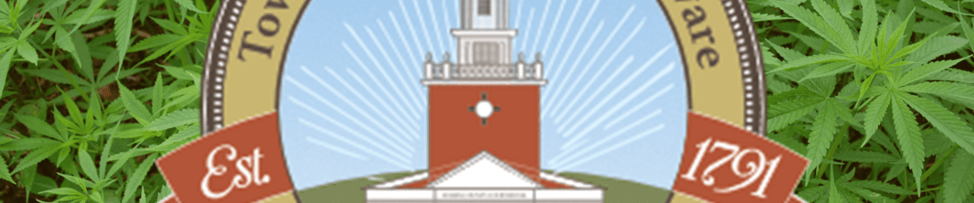 marijuana background with the Town of Georgetown logo