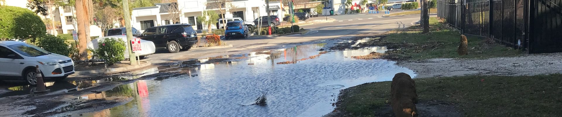 Washington Street in Dunedin Stormwater Drainage to be updated.