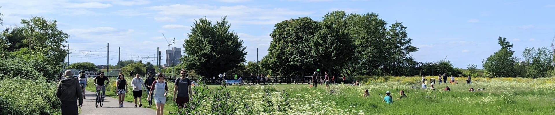 Image of Hackney Marshes in the Summer