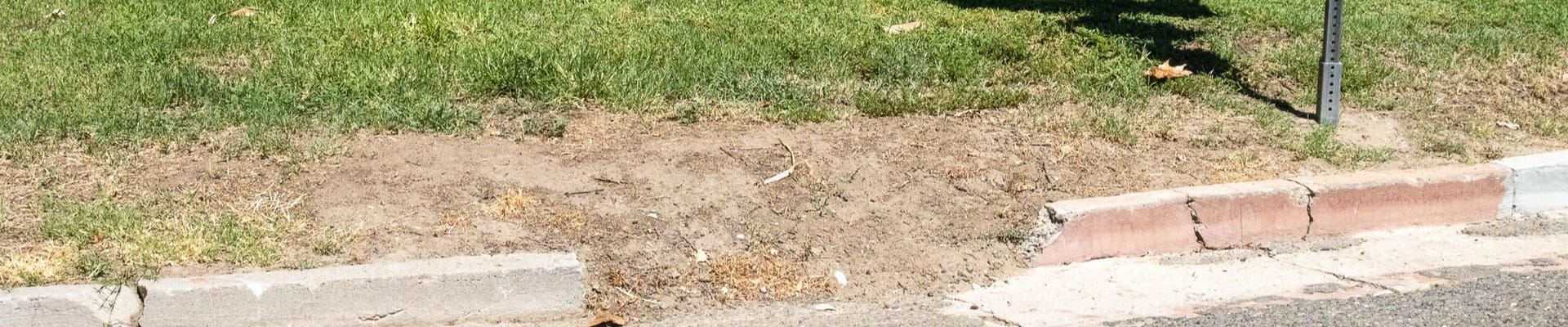 Broken and chipped sidewalk