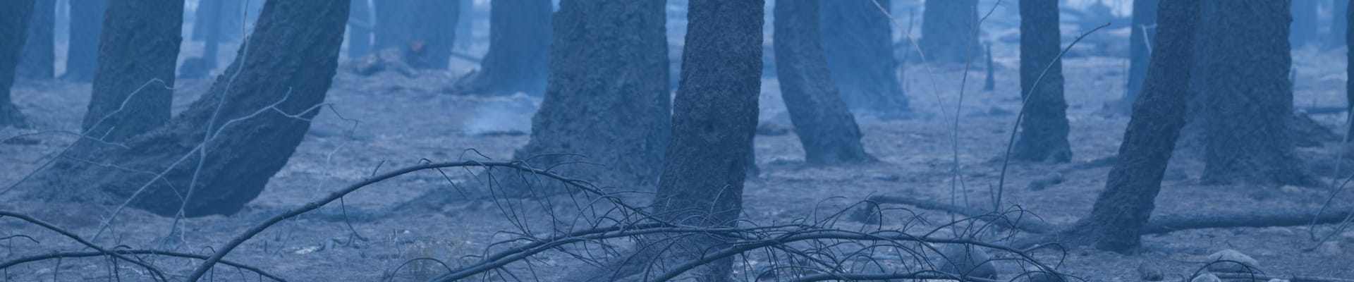 Community Conversation - Bush Creek East Wildfire