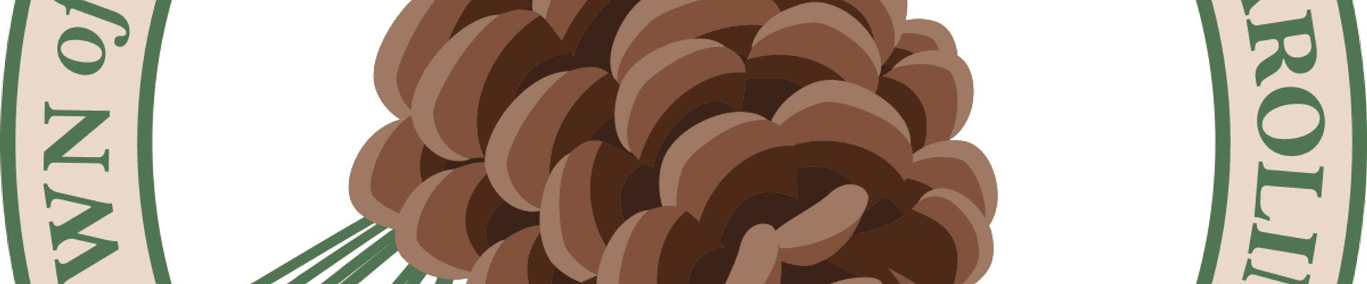 Character Districts - Text Amendments for WSP and Downtown; Design Guide for Pinedene