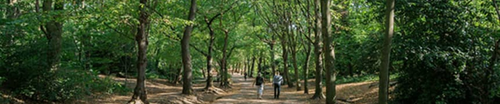 Demoville Climate Action Plan Questionnaire 