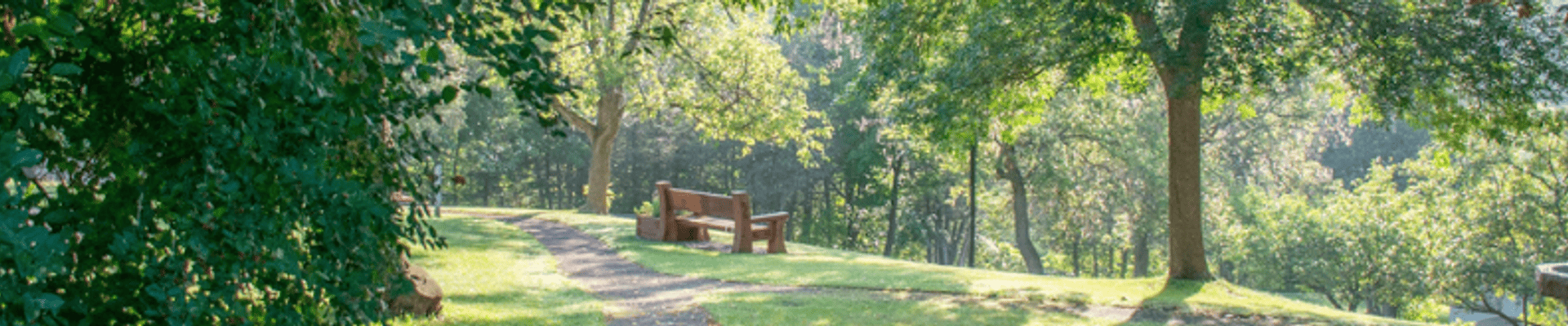 Park Bench on a trail