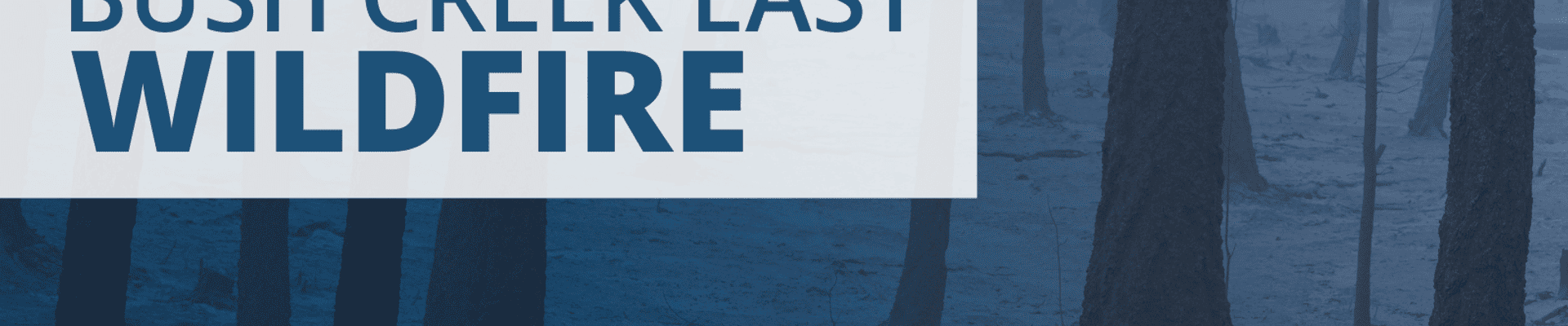 What We Heard Report released