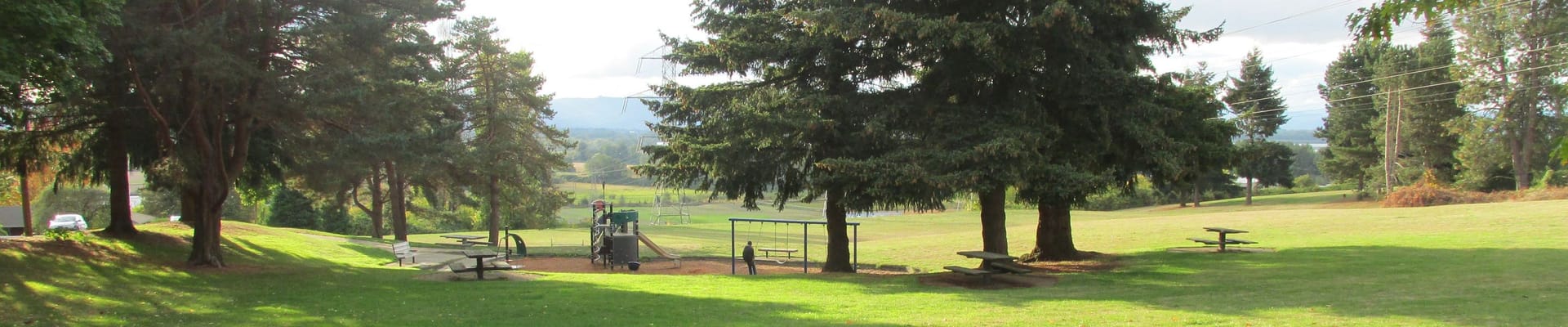 A simple playground set in a beautiful grassy field with trees.