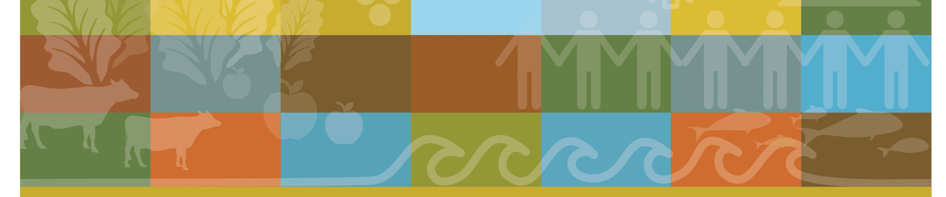 Circular Food Hubs Banner Graphic