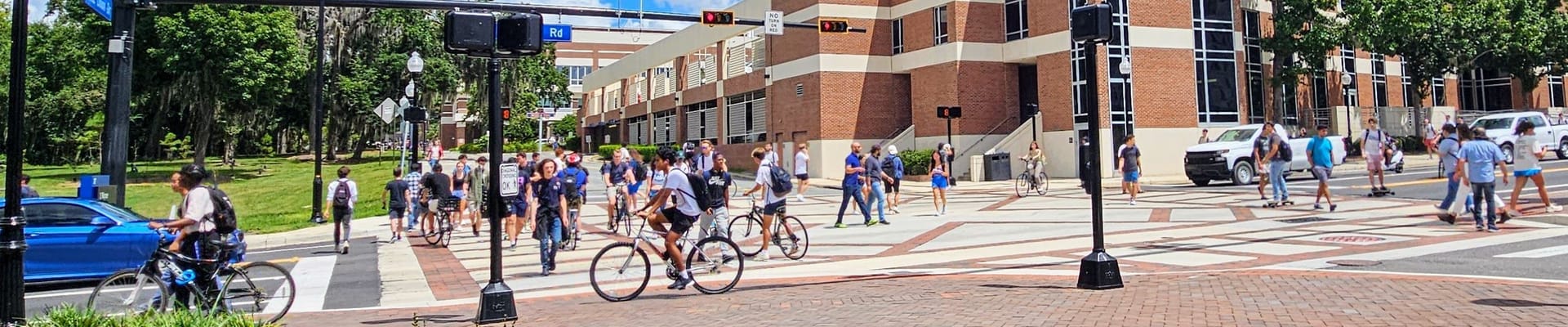 cars, people and bikes on the road