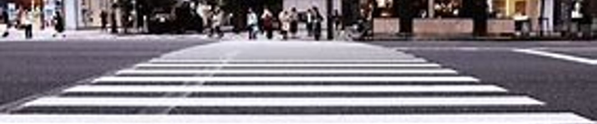 Pedestrians Crossing the Street