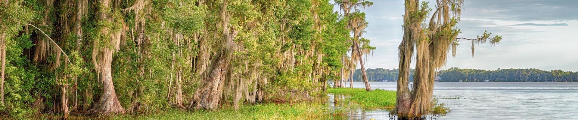 Newnans Lake
