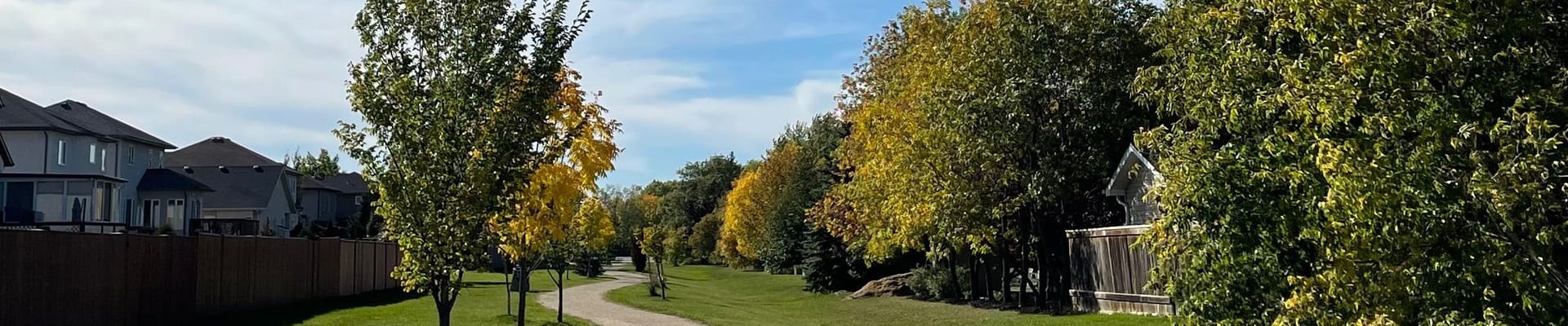 Pathway lined with trees