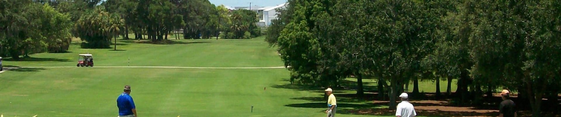 dunedin golf club