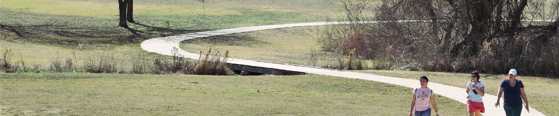 Bridging Nature and Neighbors