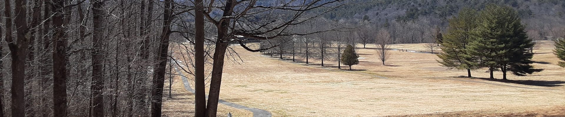 Country Club Road site with path