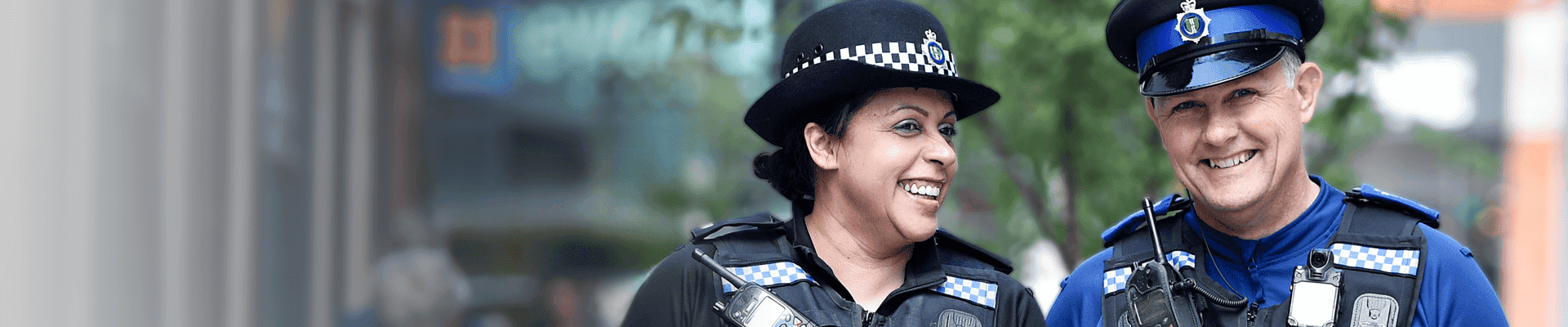 Community Scrutiny Hub