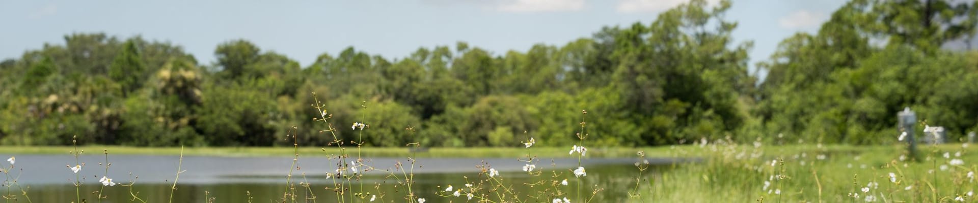 Lake in the City of North Port