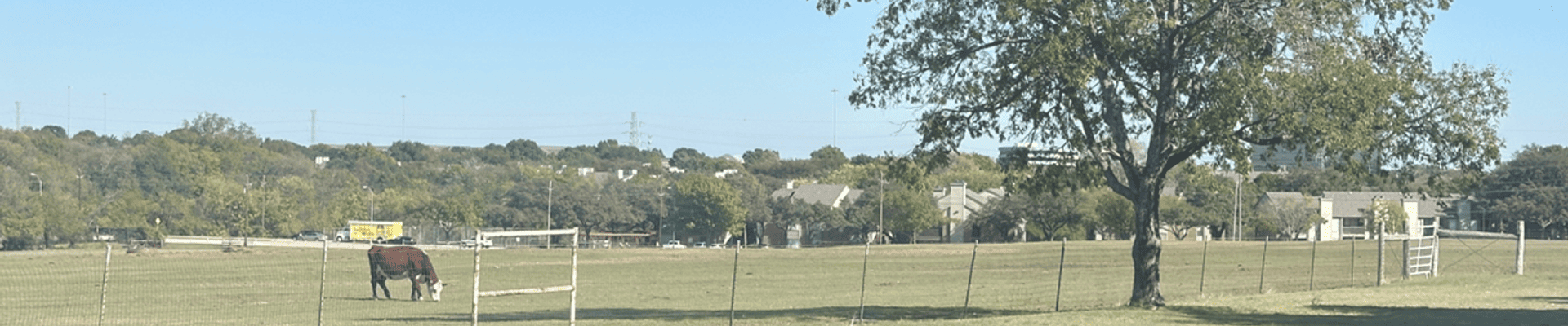 open farm land with cow grazing in pasture