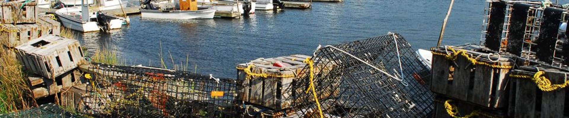 Cove Picture with boats and fishing tackle