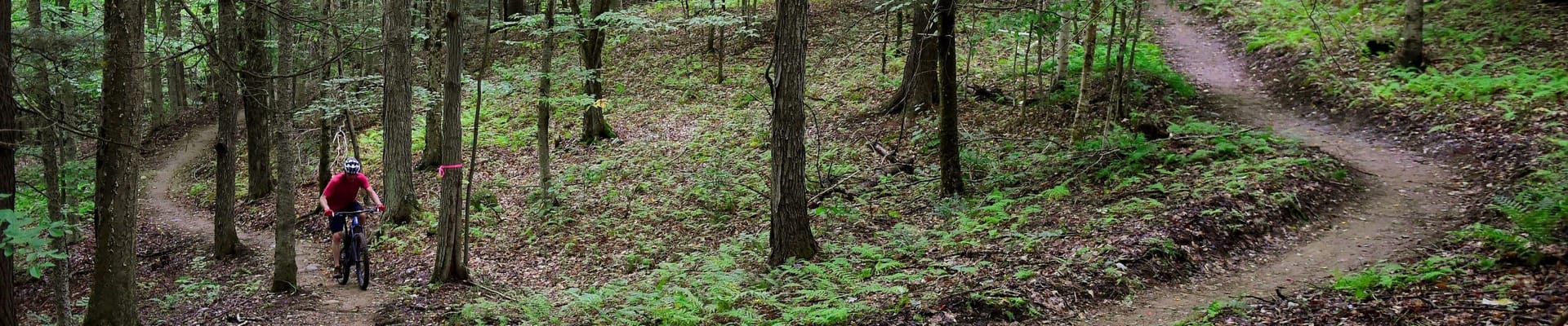 Mountain biking through North Branch Park