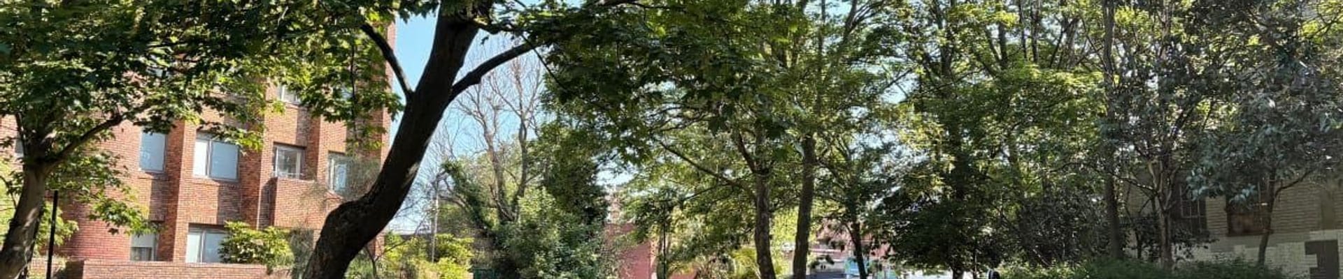 Lewisham Council has secured £2.5m to transform Riverdale Sculpture Park