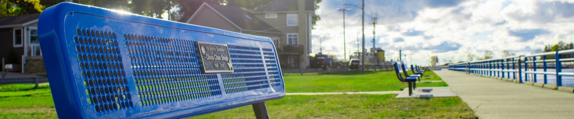 Kruse Park Lake Michigan and Sand