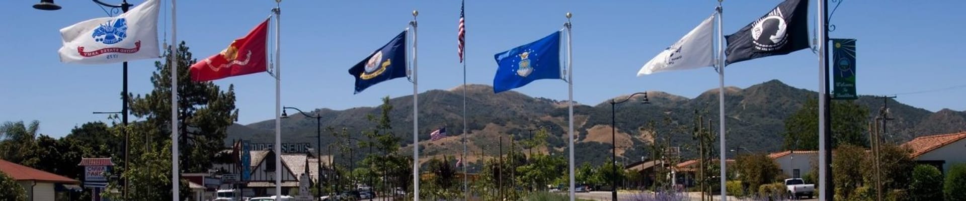 Flags on Avenue of Flags Median 4