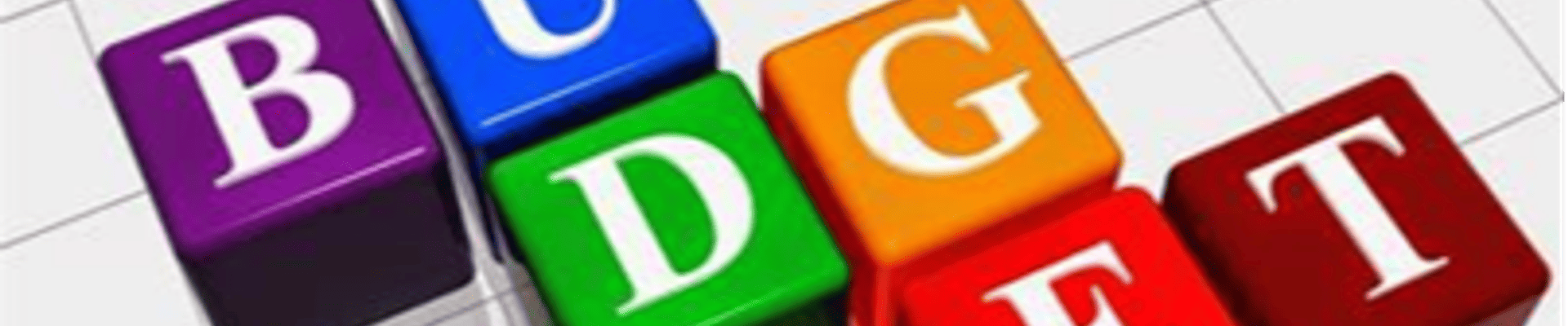 Town FY2025-2026 Proposed Budget 