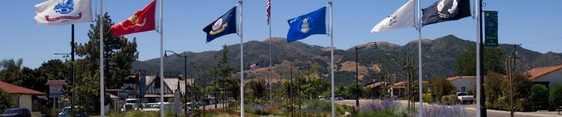 Avenue of Flags