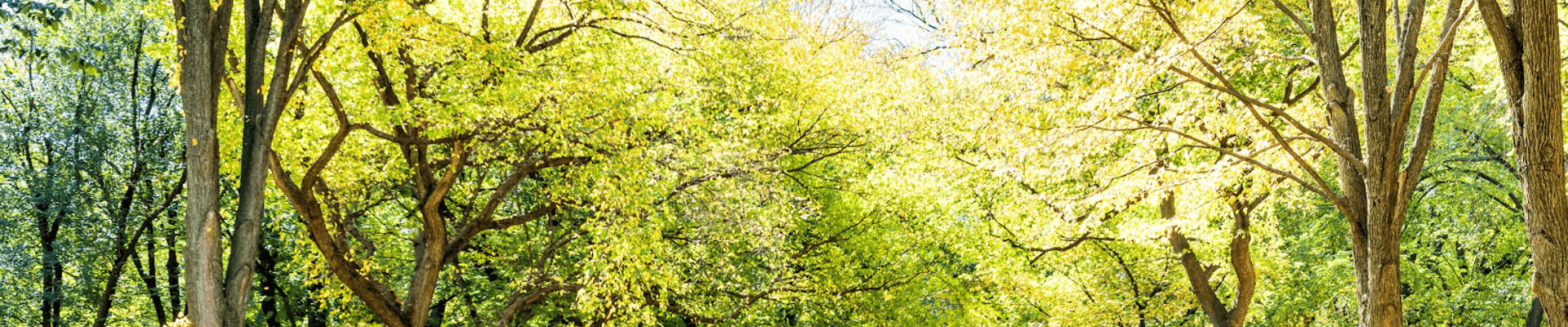 שיתוף ציבור