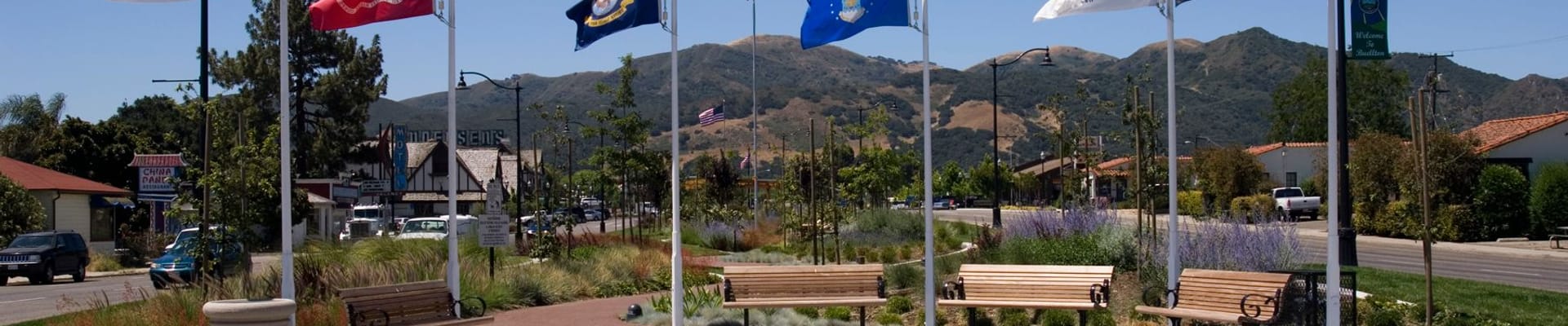 Avenue of Flags Median Flags