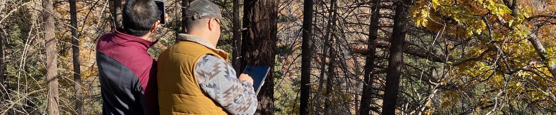 Rapid Assessment Tool for Forested Landowners