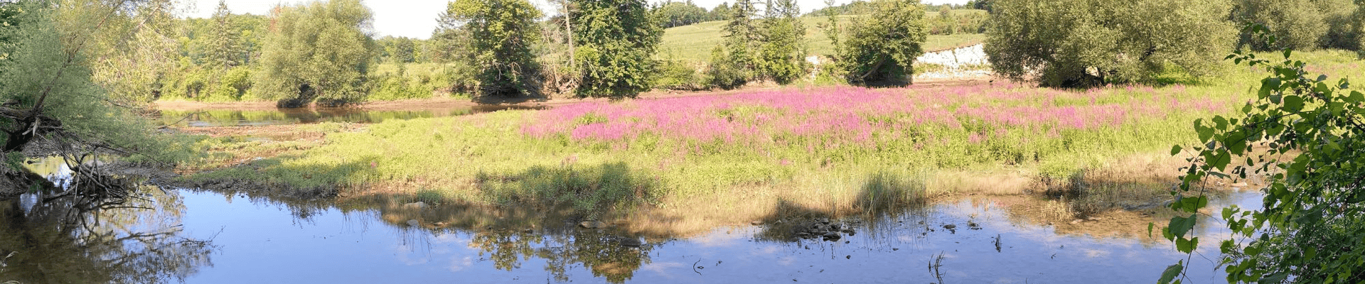 Photo of proposed parks and waterway area. 