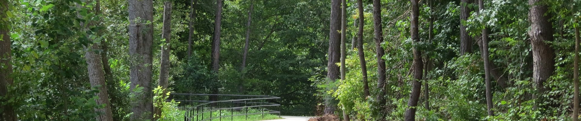 Image of Multi Use Trail going between forest on both sides