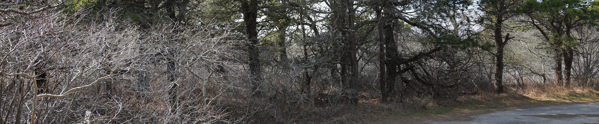 Aerial of 8 White St