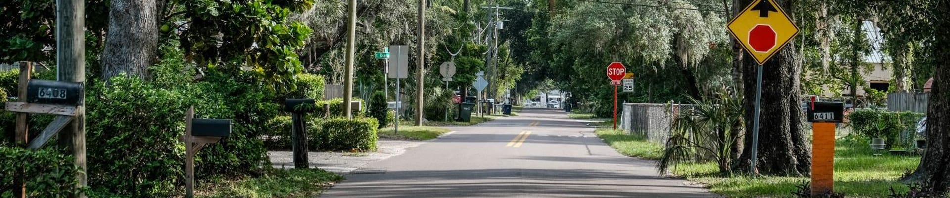 Photo of local neighborhood from street view