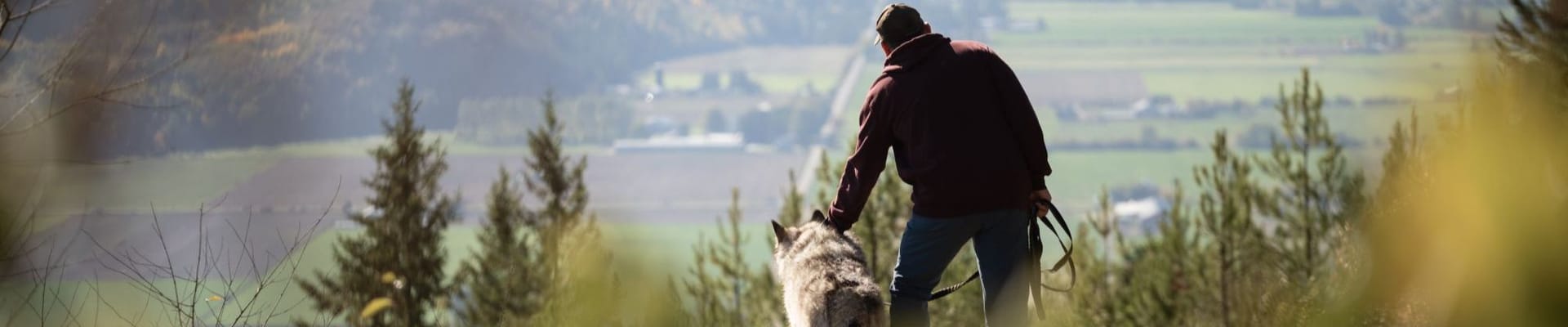 a man and dog looking over the Salmon Valley