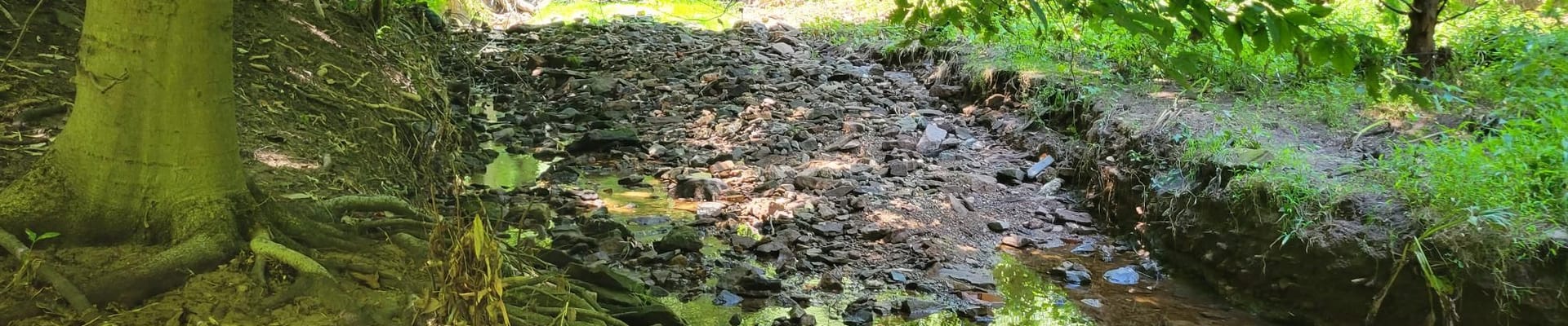 Stormwater Utility Fee - Flood Recovery