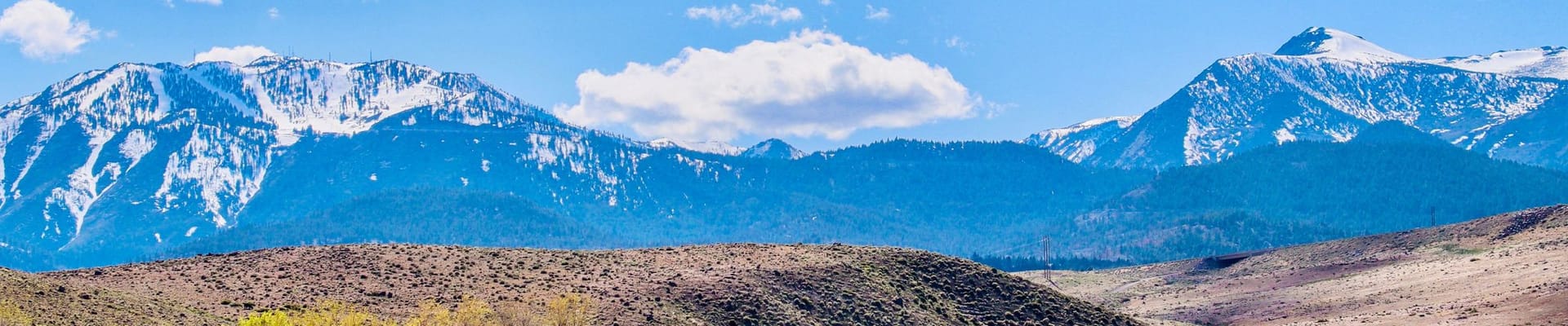 Nevada Landscape - with trees, hills, and mountainous backdrop