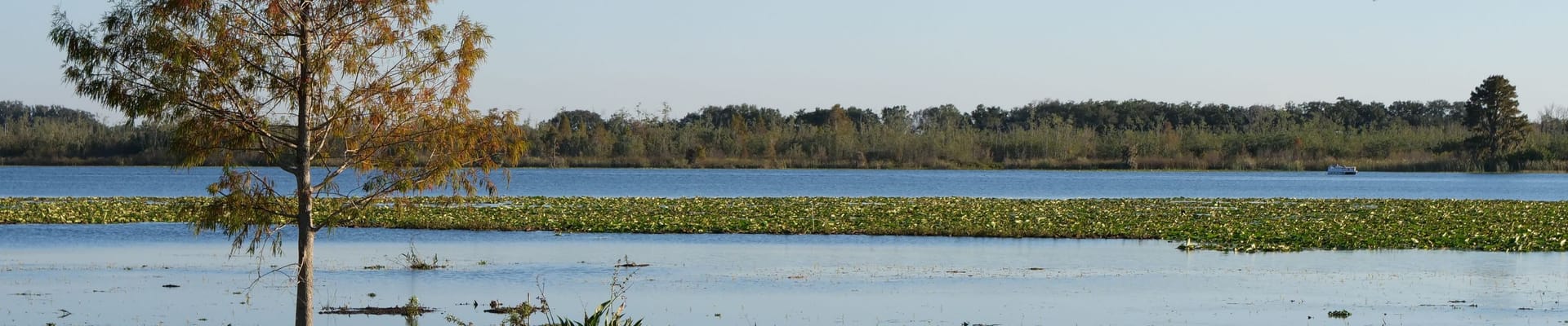 Image of the shoreline at Lake Lulu