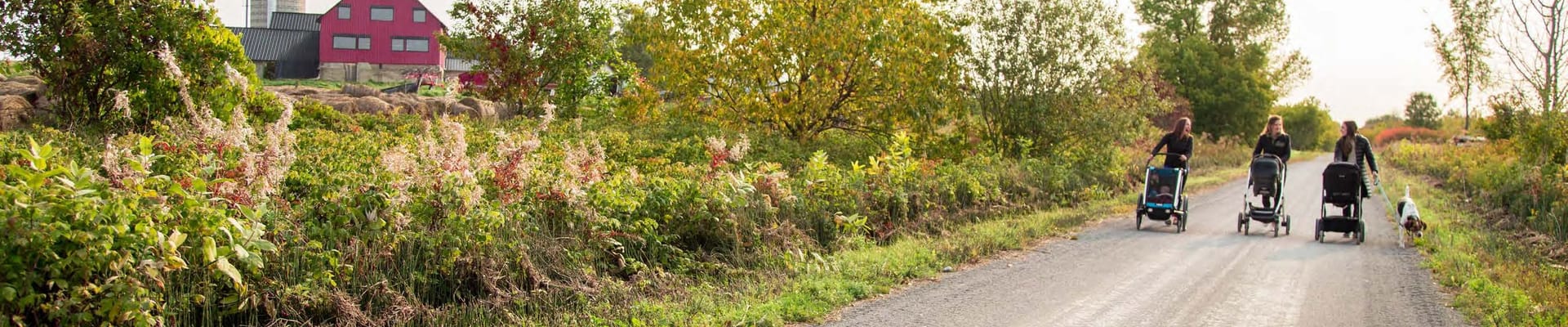 Walkers walking of trail