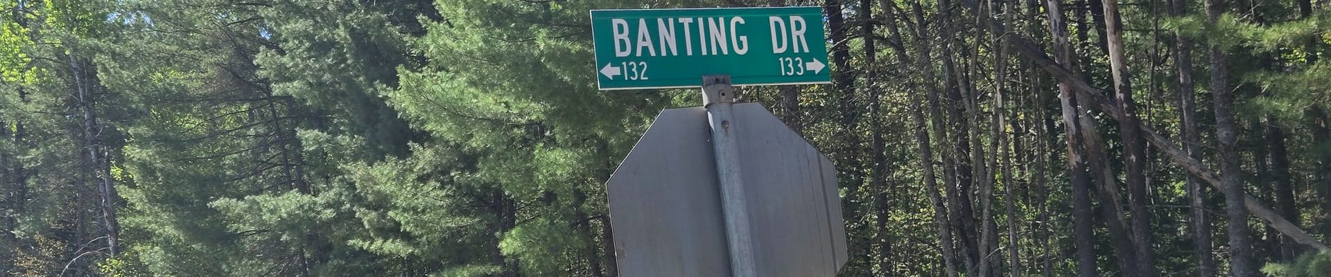banting drive sign