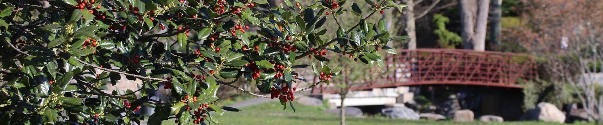 Welcome to the Town of Mamaroneck's Engage Platform