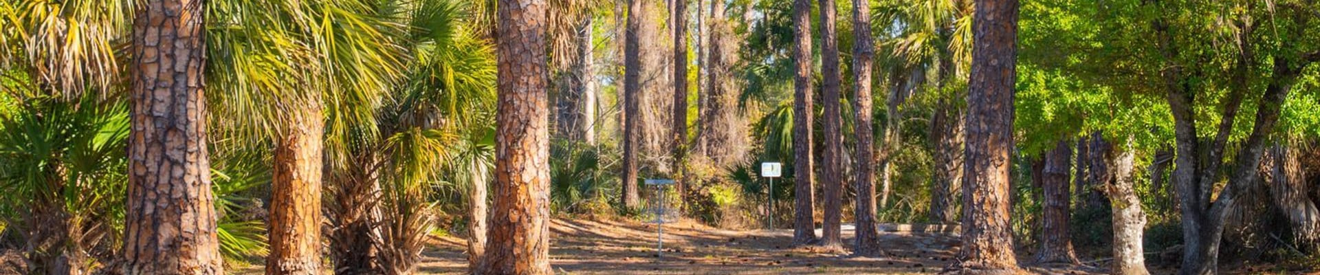 Parks & Recreation, Master Plan, Green Space, Forest, City of North Port