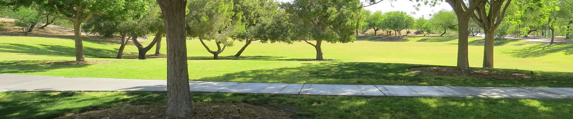 Rotary Park ADA Accessibility