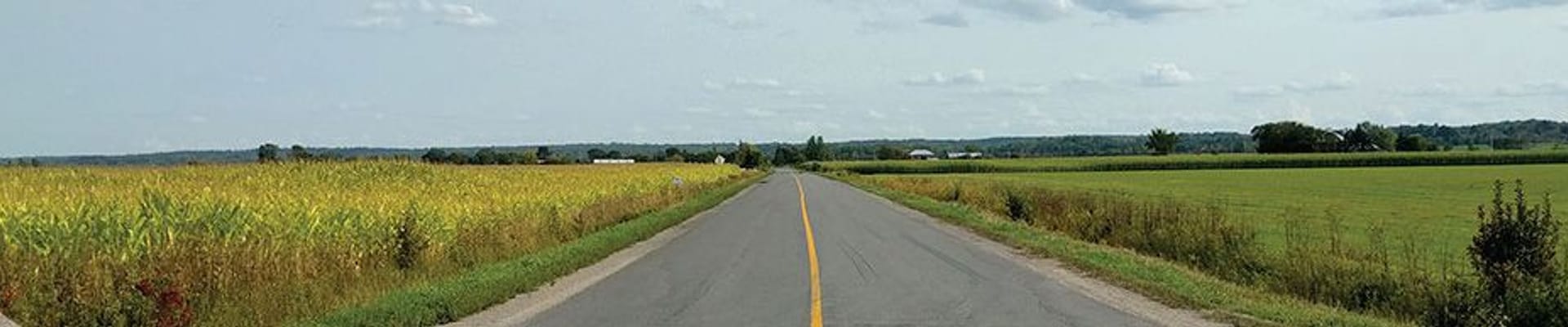 Road in centre of image with fields on both side of road