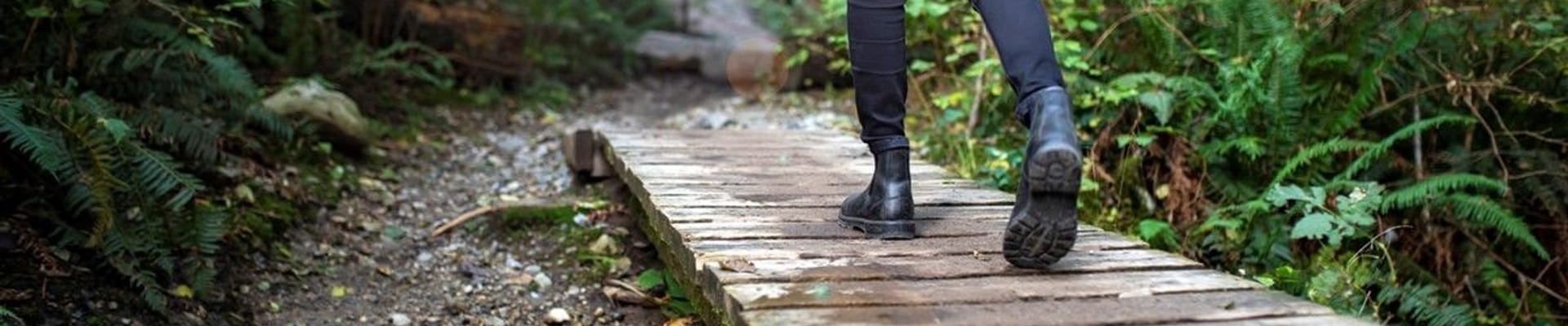 walker on a trail boardwalk