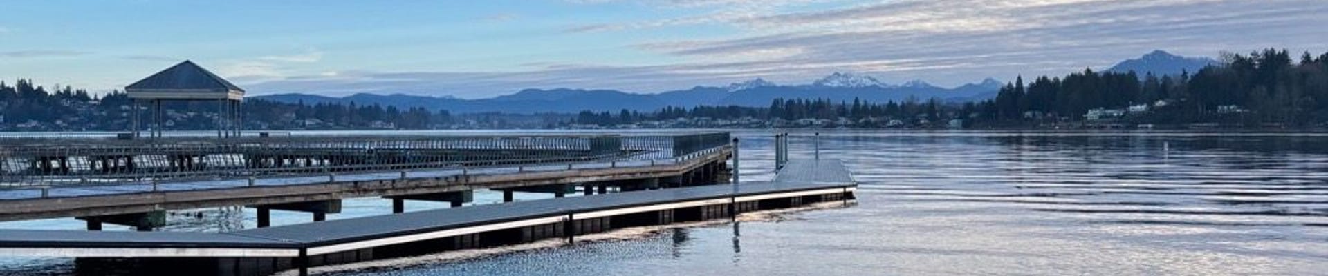 Continue to Pledge and pass it along