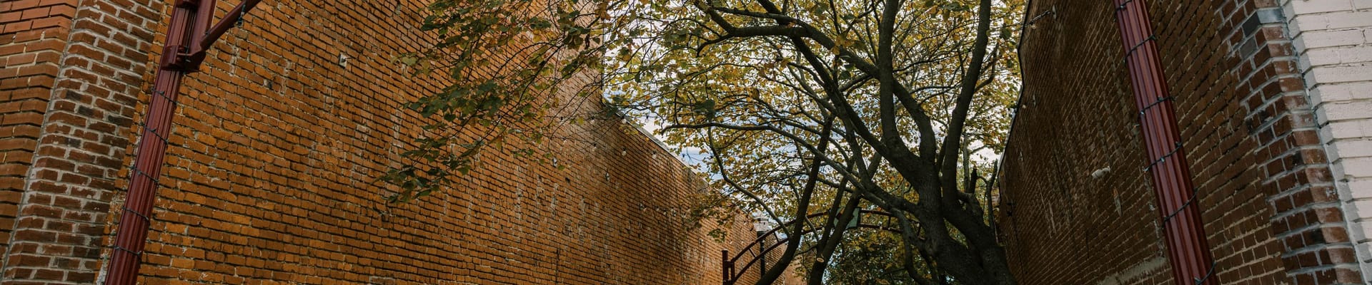 Farmers' Market Alley
