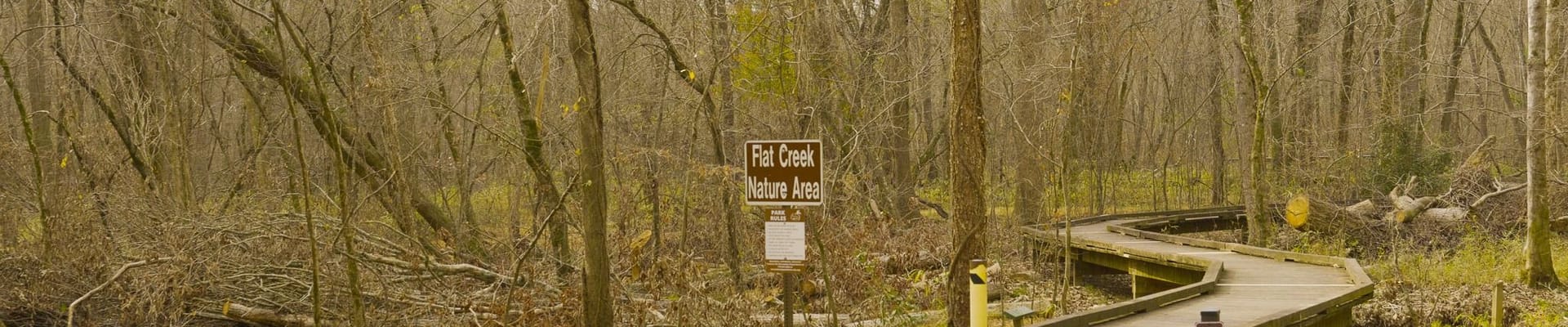 Downed Tree/Boardwalk Damaged