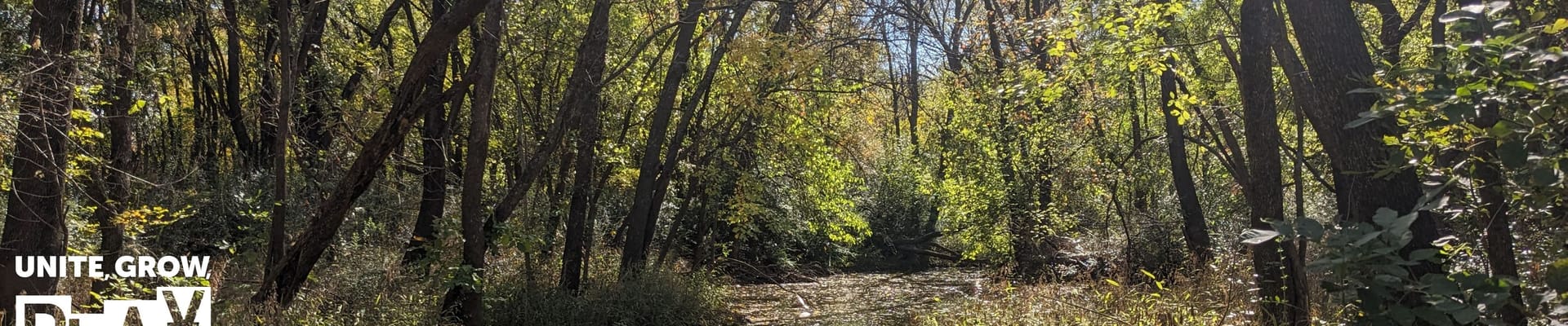 Photo of Hickory Creek with Parks logo